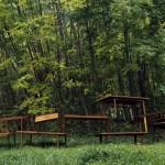 La Lumière au pays des fjords par Rune Guneriussen !