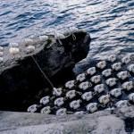 La Lumière au pays des fjords par Rune Guneriussen !