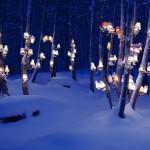 La Lumière au pays des fjords par Rune Guneriussen !
