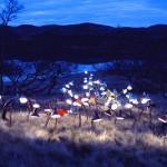 La Lumière au pays des fjords par Rune Guneriussen !