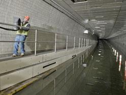 New York - Après l'ouragan Sandy, les rats vont-ils envahir la ville?