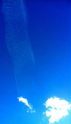 cab2.11.12 00812.jpg