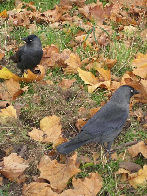 Delft : autres canaux dans les brumes du Nord