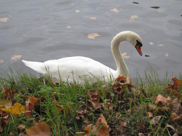 Delft : autres canaux dans les brumes du Nord