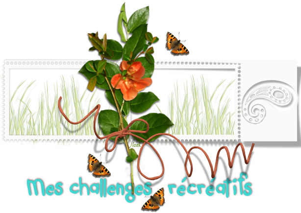 Image and video hosting by TinyPic