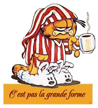 Le tailgate sur la liste des blessés