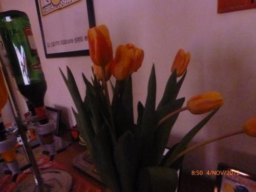 didier,train et bouquet nov 2012 006.jpg