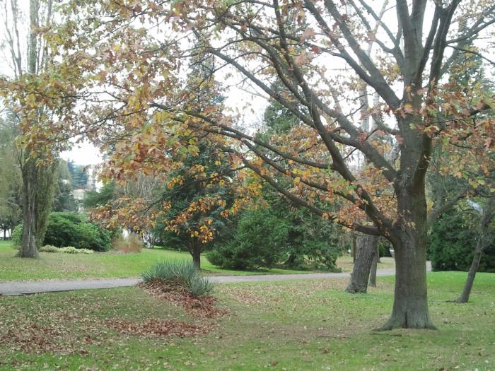 Saint-Etienne, le parc de l’Europe en automne