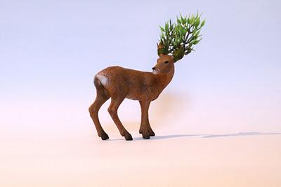 Mushdream [2008-2009]