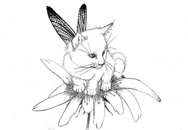 Mushdream [2008-2009]