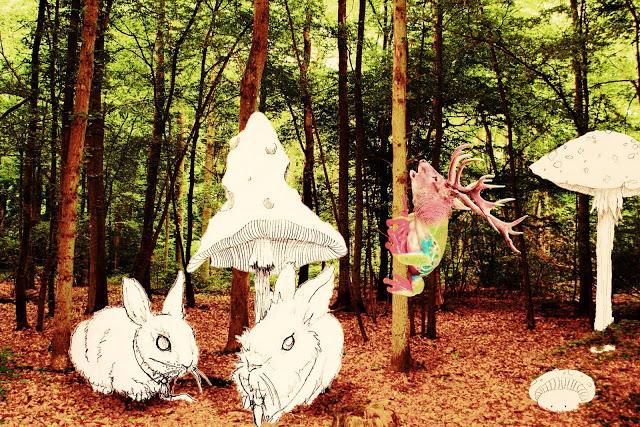 Mushdream [2008-2009]