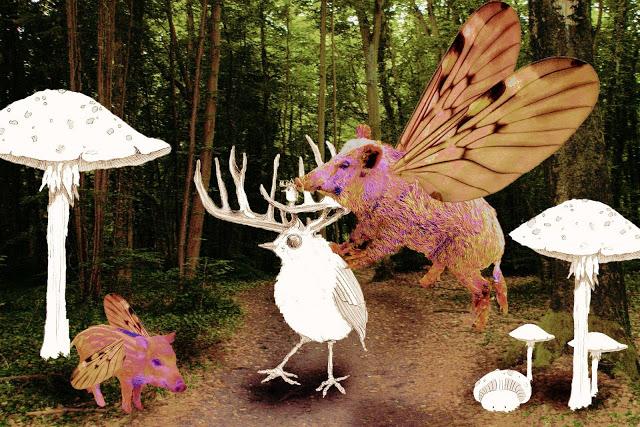 Mushdream [2008-2009]