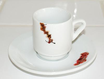 Objets Hygiénistes & Altérations Corporelles [2008]