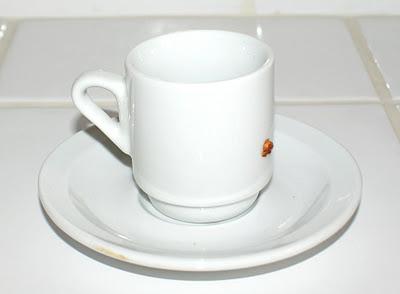 Objets Hygiénistes & Altérations Corporelles [2008]