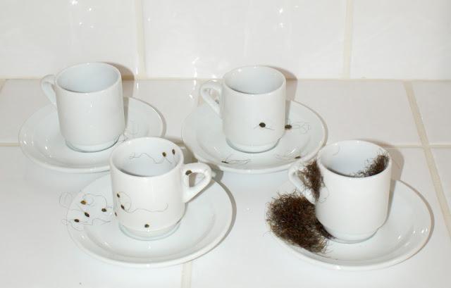 Objets Hygiénistes & Altérations Corporelles [2008]