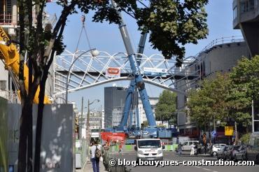 Bouygues Construction se lance dans la préservation de la biodiversité en milieu urbain