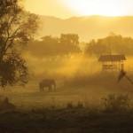 Une expérience à vivre à deux ! Four Seasons Tented Camp Golden Triangle…