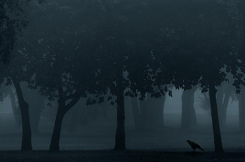 Le fantastique Mikko Lagerstedt