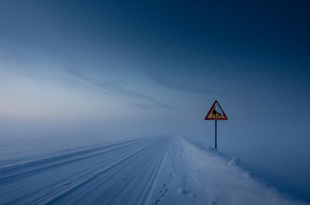 Le fantastique Mikko Lagerstedt