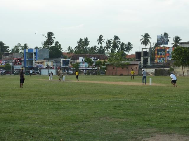 Le cricket, LE sport national du Sri Lanka !
