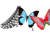 Découvrez Collection 2008 Couturier Thierry Bouchard "Atelier Chrysalide"