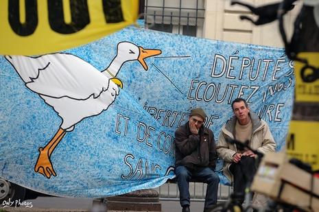 Les Anti OGM à l'assemblée nationale.