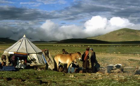 tibet-camp-altitude.1207294611.jpg