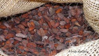 Des nouveautés au Salon du Chocolat en 2012