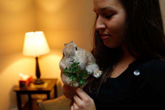 Véronique Pelchat a adopté Gaelle comme animal de... (Photo Martin Chamberland, La Presse)