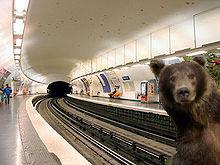 Un ours aperçu à la station de métro Pyrénées