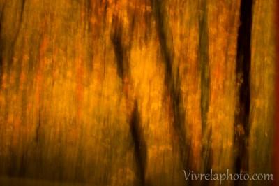 Technique : les modes semi-automatiques d’un réflex