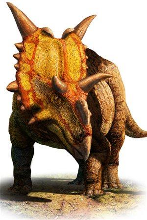 Xenoceratops
