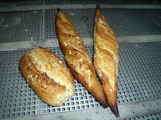 A la découverte de la Banette Epeautre ou comment je me suis incrustée chez un boulanger!