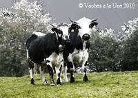 Josepha et Josephine