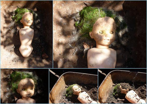 Thriller dans mon jardin