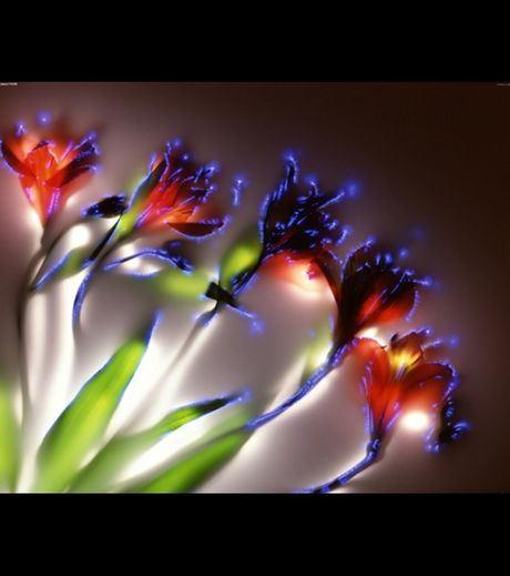 effet kirlian Robert Buelteman