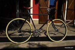 Pashley-guvnor