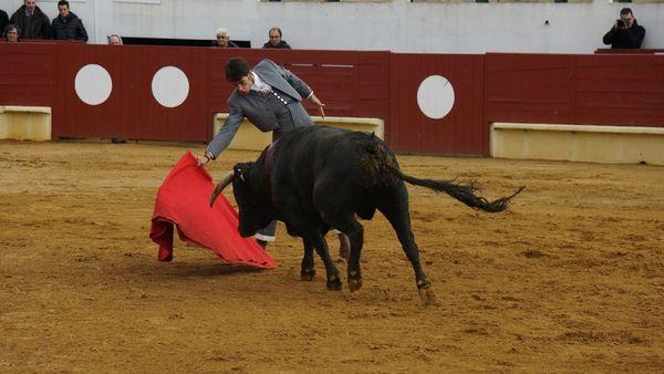 DSC00060_redimensionner