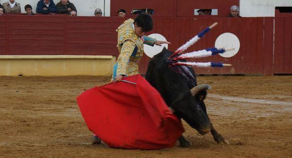 DSC00265_redimensionner