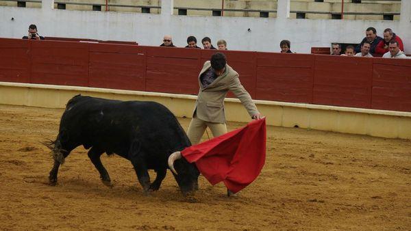 DSC00100_redimensionner