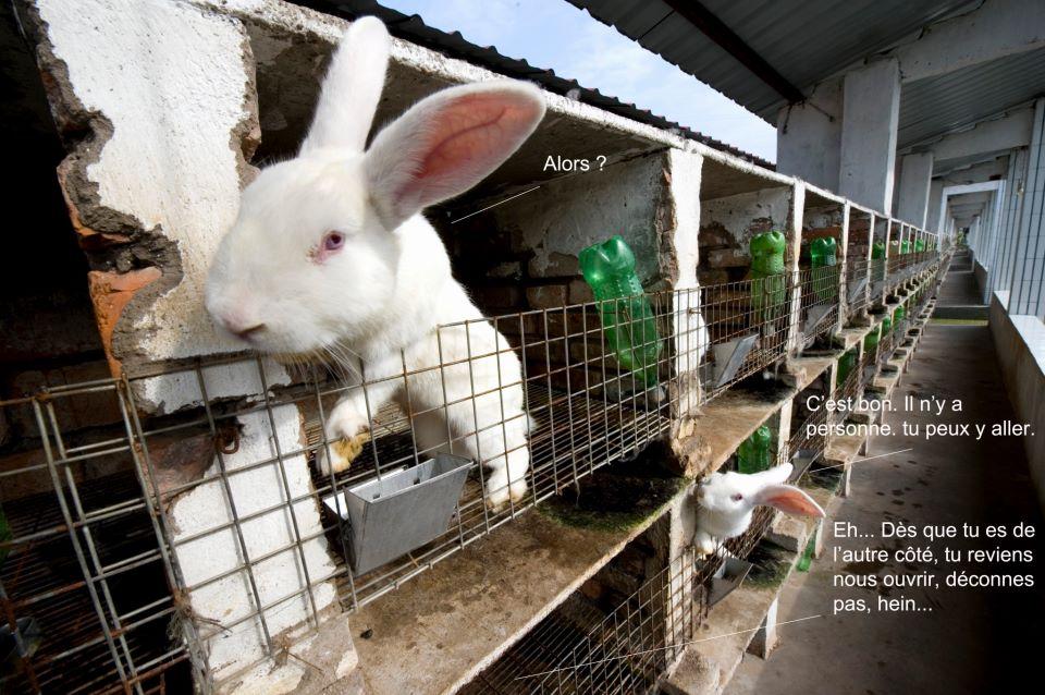 Photos et Roman-Photo détournés : rire assuré