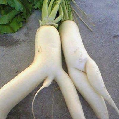 433°  Vous appelez ça 