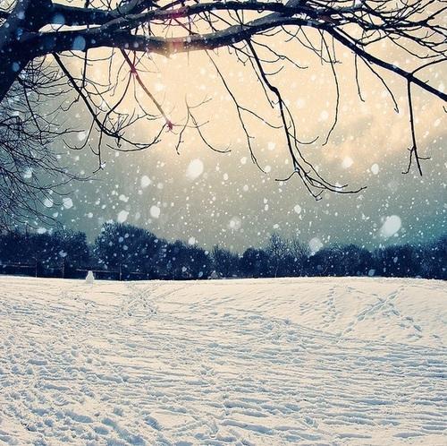 Tumblr_mbrd9xu0pn1qibwwqo1_500_large