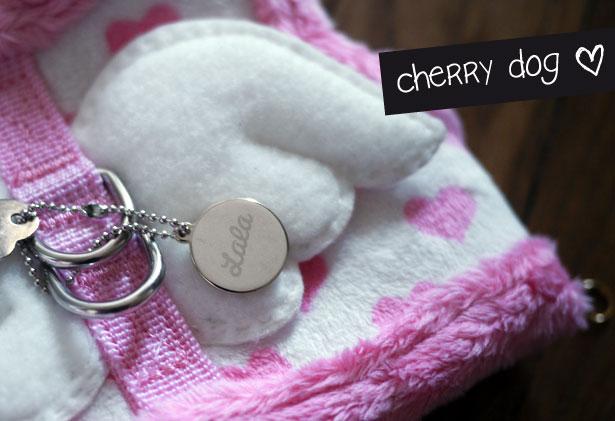 Les harnais Pinkaholic et médailles Very Mini