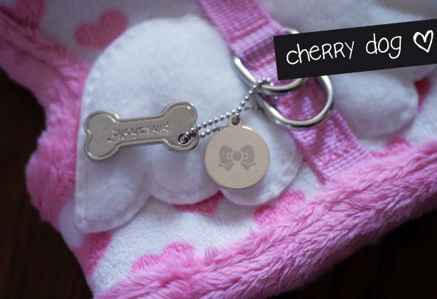 Les harnais Pinkaholic et médailles Very Mini