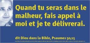 And call upon me in the day of trouble; I will deliver you, and you will honor me. »