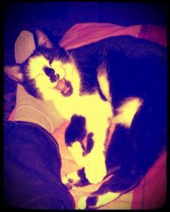 Exemple de motivation !