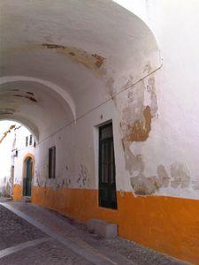 IMG02685-20121031-1435