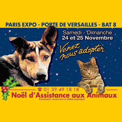 FONDATION ASSISTANCE AUX ANIMAUX : Participez au Noël des animaux abandonnés les 24 et 25 novembre prochain à la Porte de Versailles (75015 Paris)
