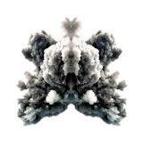 361015ede The Deadline Experience